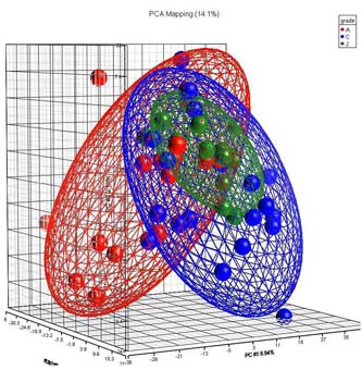 Imagen de la coincidencia génica entre centenarios (azul) y jóvenes a diferencia de los ancianos (rojo).